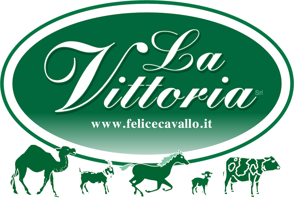 LA VITTORIA S.R.L. Logo