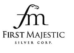 MAJESTIC SERVICES SA DE CV Logo